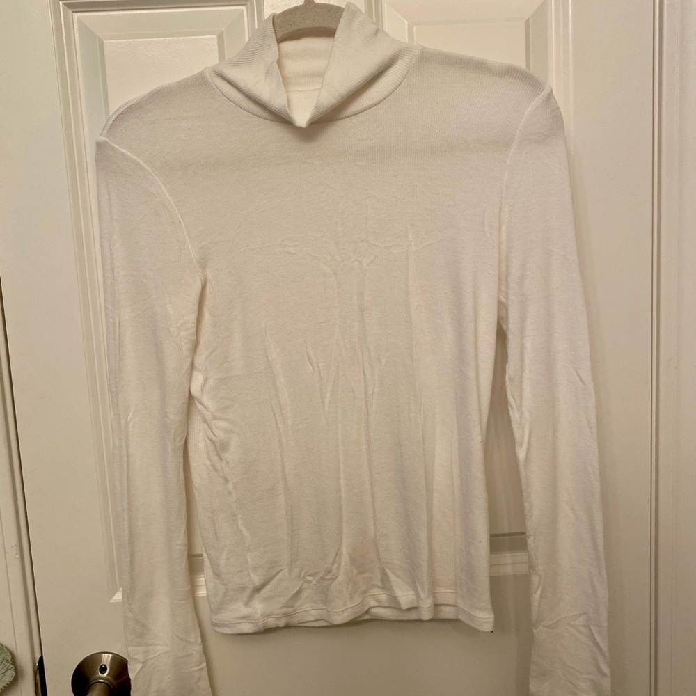 Aritzia Wilfred Free Only Fitted Turtleneck